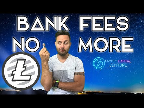 Litecoin Adoption & Use Explained In Under 10 Minutes